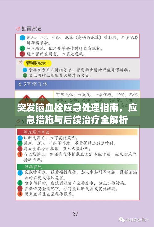 突發(fā)腦血栓應(yīng)急處理指南，應(yīng)急措施與后續(xù)治療全解析