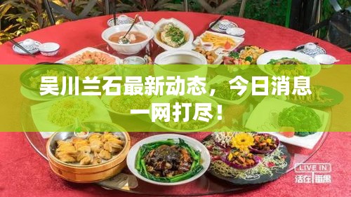 吳川蘭石最新動(dòng)態(tài)，今日消息一網(wǎng)打盡！