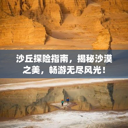 沙丘探險(xiǎn)指南，揭秘沙漠之美，暢游無盡風(fēng)光！