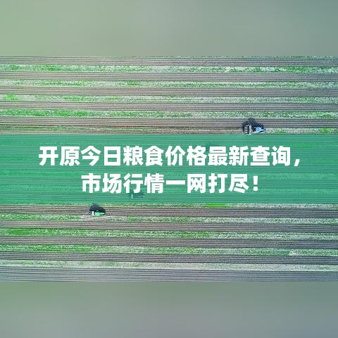 開原今日糧食價格最新查詢，市場行情一網(wǎng)打盡！