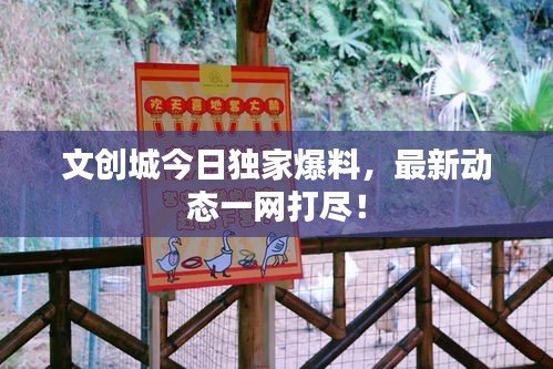 文創(chuàng)城今日獨家爆料，最新動態(tài)一網(wǎng)打盡！
