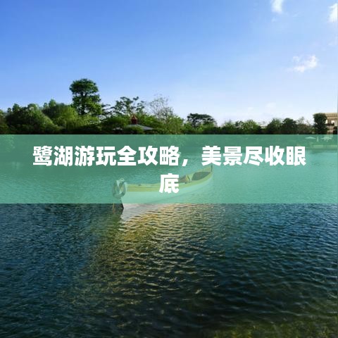 2025年5月11日