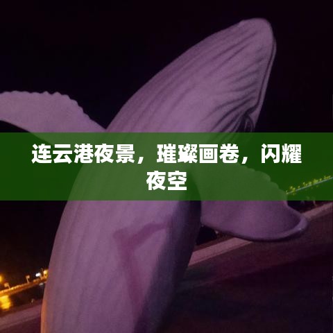 連云港夜景，璀璨畫(huà)卷，閃耀夜空