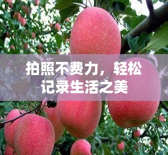 拍照不費力，輕松記錄生活之美