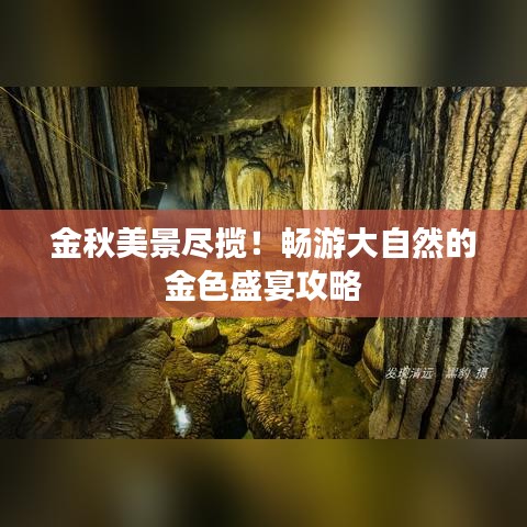 金秋美景盡攬！暢游大自然的金色盛宴攻略