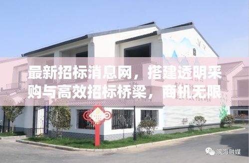 最新招標(biāo)消息網(wǎng)，搭建透明采購與高效招標(biāo)橋梁，商機(jī)無限！