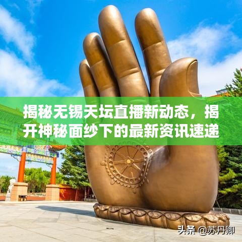 揭秘?zé)o錫天壇直播新動(dòng)態(tài)，揭開神秘面紗下的最新資訊速遞