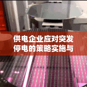 供電企業(yè)應(yīng)對(duì)突發(fā)停電的策略實(shí)施與實(shí)戰(zhàn)經(jīng)驗(yàn)分享