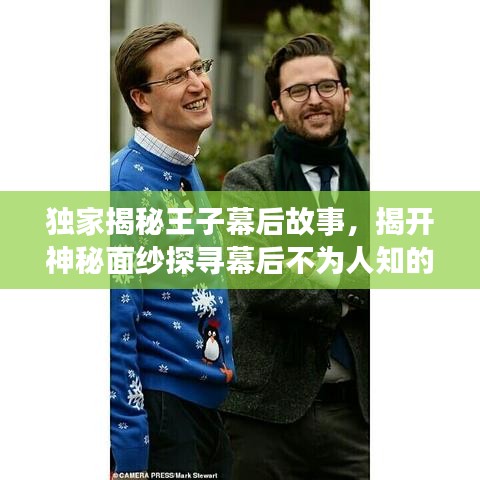 獨(dú)家揭秘王子幕后故事，揭開(kāi)神秘面紗探尋幕后不為人知的秘密