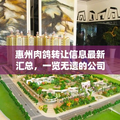 惠州肉鴿轉(zhuǎn)讓信息最新匯總，一覽無遺的公司資訊