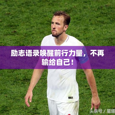勵志語錄喚醒前行力量，不再輸給自己！