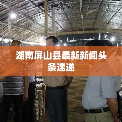 湖南屏山縣最新新聞頭條速遞