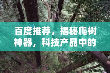 百度推薦，揭秘爬樹神器，科技產(chǎn)品中的神奇探索