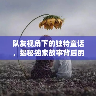 隊友視角下的獨(dú)特童話，揭秘獨(dú)家故事背后的真實情感世界