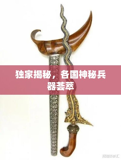 獨家揭秘，各國神秘兵器薈萃