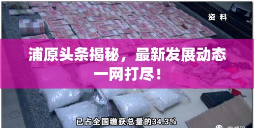 浦原頭條揭秘，最新發(fā)展動(dòng)態(tài)一網(wǎng)打盡！
