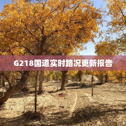 G218國道實時路況更新報告