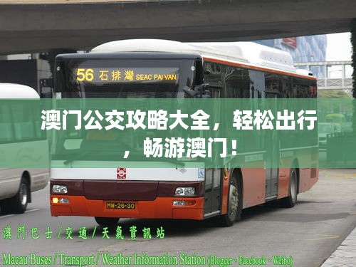 澳門公交攻略大全，輕松出行，暢游澳門！