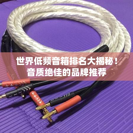 世界低頻音箱排名大揭秘！音質(zhì)絕佳的品牌推薦