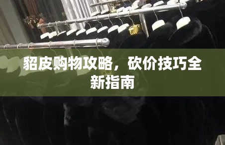 貂皮購(gòu)物攻略，砍價(jià)技巧全新指南