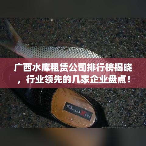 廣西水庫租賃公司排行榜揭曉，行業(yè)領(lǐng)先的幾家企業(yè)盤點！