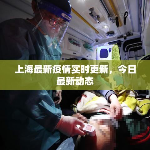 上海最新疫情實(shí)時(shí)更新，今日最新動(dòng)態(tài)