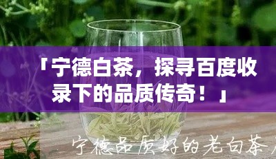「寧德白茶，探尋百度收錄下的品質(zhì)傳奇！」