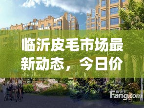 臨沂皮毛市場(chǎng)最新動(dòng)態(tài)，今日價(jià)格走勢(shì)、影響因素一網(wǎng)打盡！