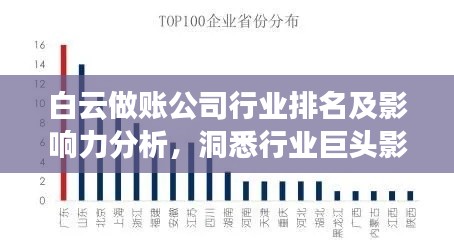 白云做賬公司行業(yè)排名及影響力分析，洞悉行業(yè)巨頭影響力