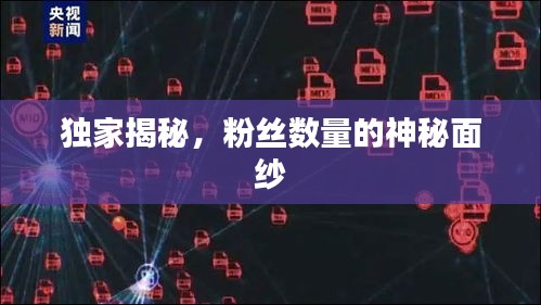 獨(dú)家揭秘，粉絲數(shù)量的神秘面紗