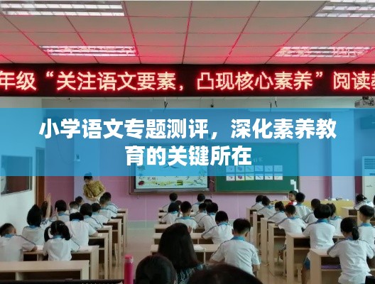 小學(xué)語文專題測評(píng)，深化素養(yǎng)教育的關(guān)鍵所在