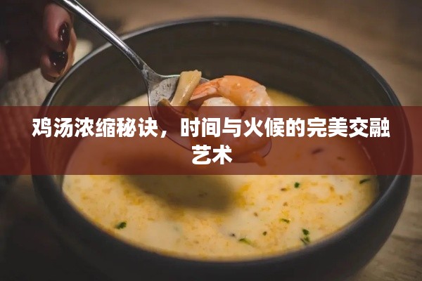 雞湯濃縮秘訣，時間與火候的完美交融藝術(shù)