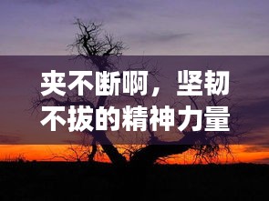 夾不斷啊，堅韌不拔的精神力量