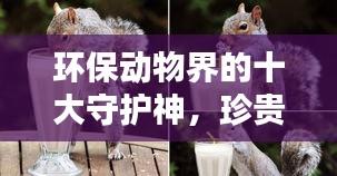 環(huán)保動(dòng)物界的十大守護(hù)神，珍貴生態(tài)守護(hù)者的榮耀排名