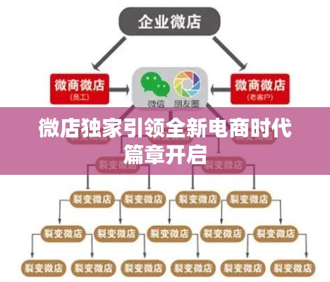 微店獨家引領(lǐng)全新電商時代篇章開啟