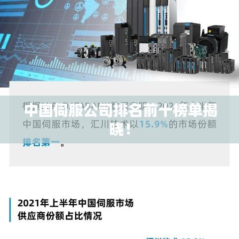 中國伺服公司排名前十榜單揭曉！