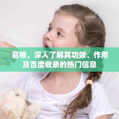 葛根，深入了解其功效、作用及百度收錄的熱門信息