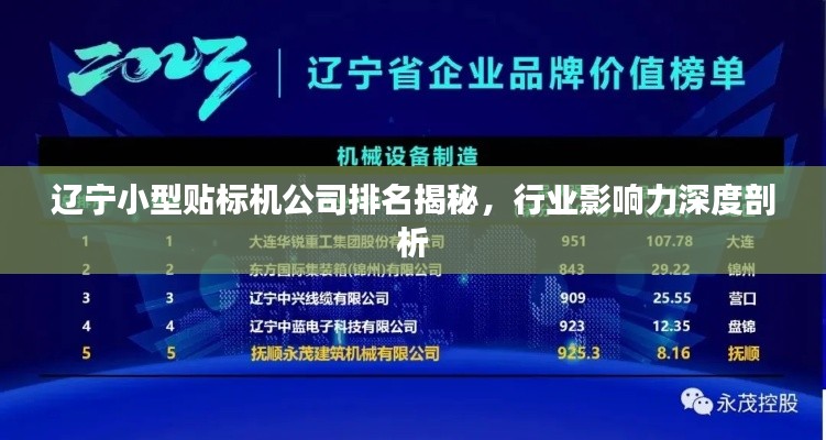 遼寧小型貼標(biāo)機(jī)公司排名揭秘，行業(yè)影響力深度剖析