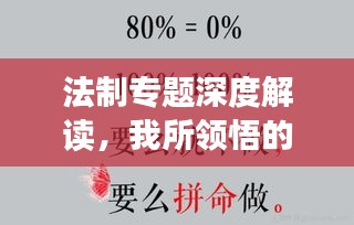 法制專(zhuān)題深度解讀，我所領(lǐng)悟的心得體會(huì)