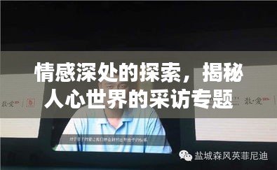 情感深處的探索，揭秘人心世界的采訪專題