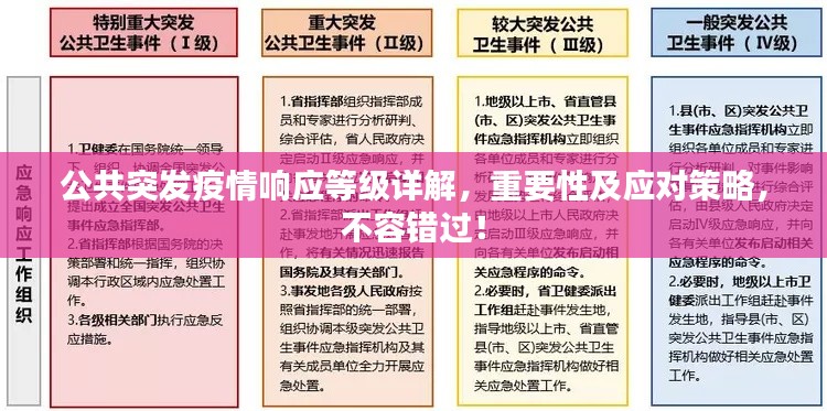 公共突發(fā)疫情響應(yīng)等級詳解，重要性及應(yīng)對策略，不容錯(cuò)過！