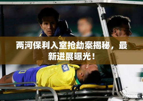 兩河保利入室搶劫案揭秘，最新進(jìn)展曝光！