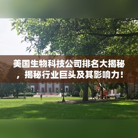 2025年6月11日