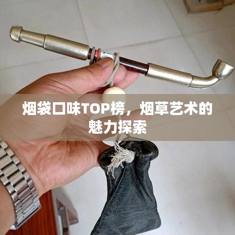 煙袋口味TOP榜，煙草藝術的魅力探索