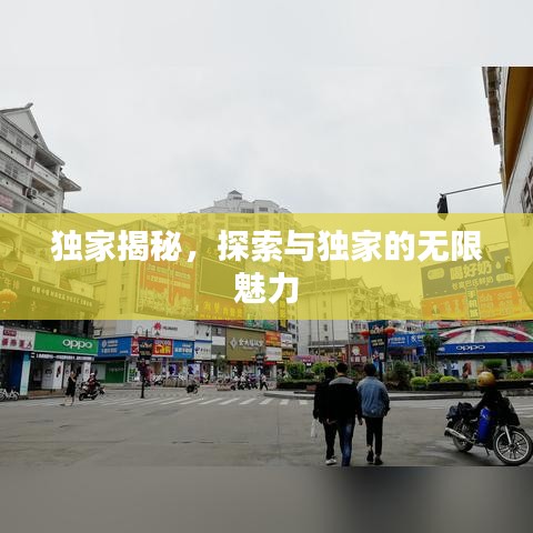 獨家揭秘，探索與獨家的無限魅力