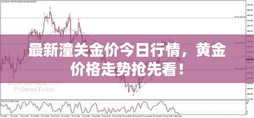 最新潼關(guān)金價(jià)今日行情，黃金價(jià)格走勢(shì)搶先看！