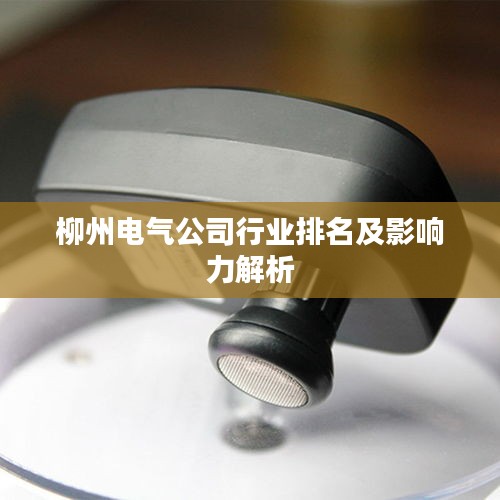 柳州電氣公司行業(yè)排名及影響力解析