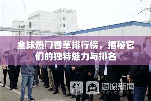 全球熱門香草排行榜，揭秘它們的獨(dú)特魅力與排名
