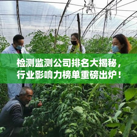 檢測(cè)監(jiān)測(cè)公司排名大揭秘，行業(yè)影響力榜單重磅出爐！