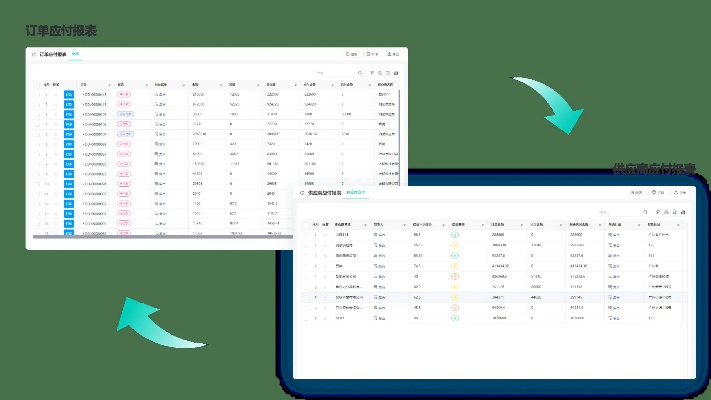 單多多手機(jī)官方下載，數(shù)據(jù)決策分析驅(qū)動(dòng)軟件介紹與軟件許可證類型解析